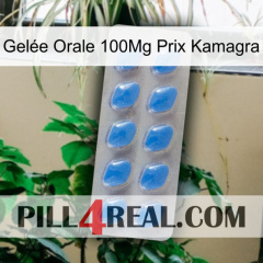 Gelée Orale 100Mg Prix Kamagra 22